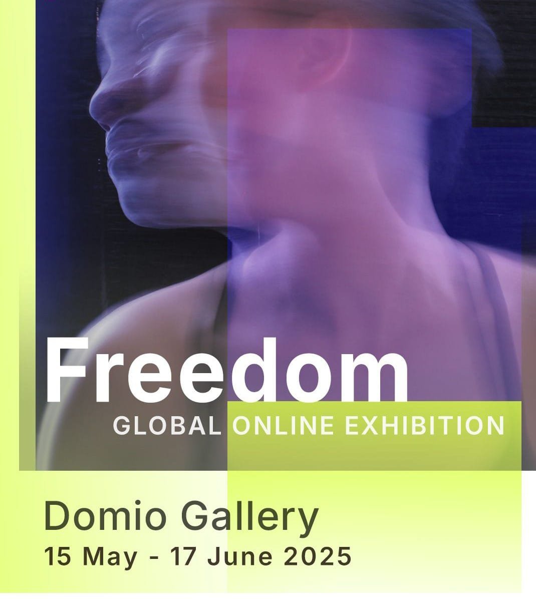 Freedom Domio Gallery